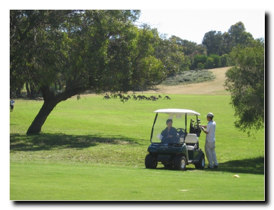 11 Hoppelnde Golfer